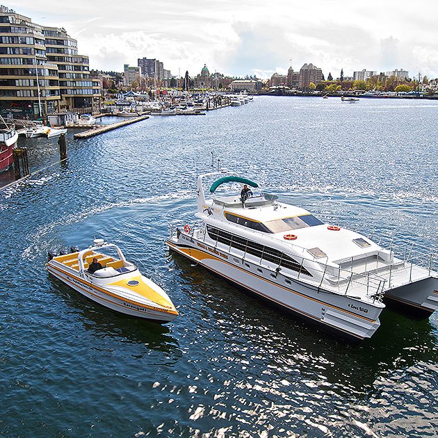 Two Eagle Wind whale watching boats in the Victoria harbour
