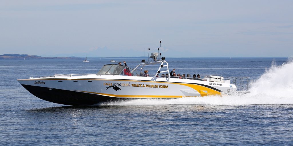 A view of Eagle Wing's open-air scarab at speed on the water