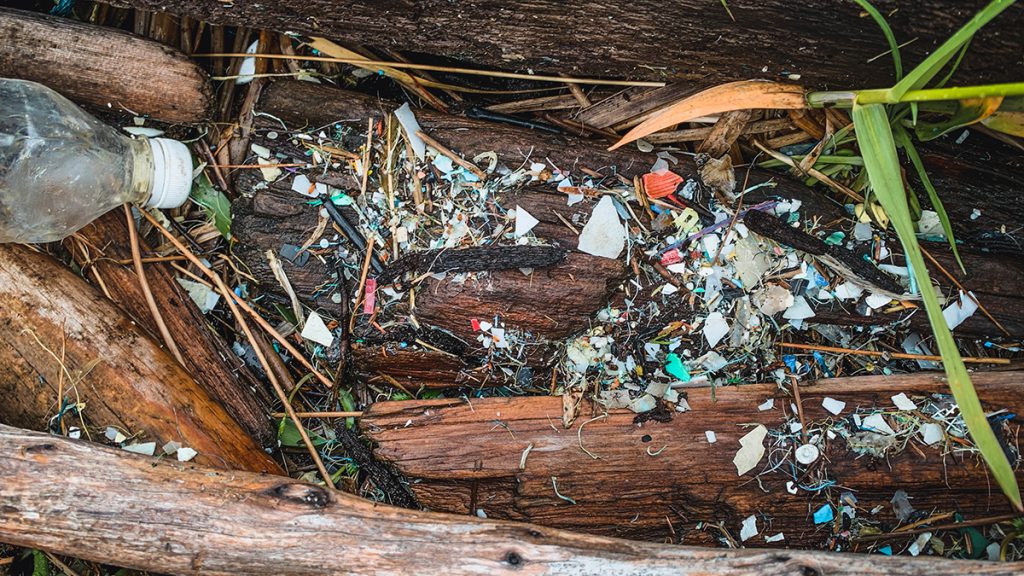 A close-up look at the many small fragments of microplastic mixed in the moss, logs and sand on the beach